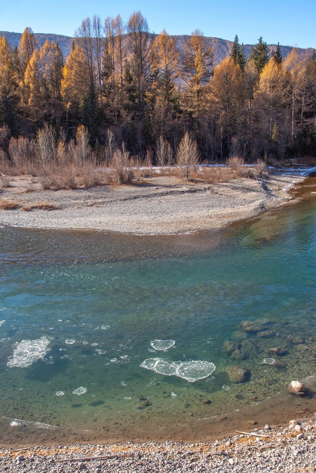Фотография активности: «Золото Алтая. Дорога в осень»