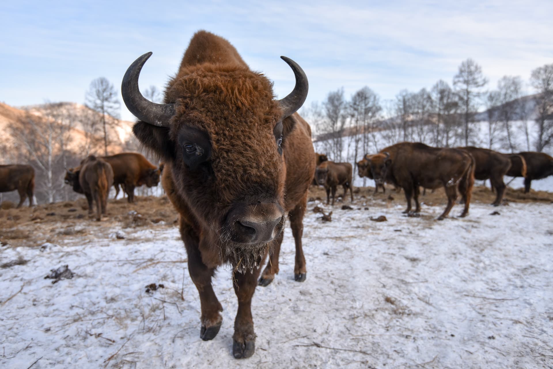 Фото с маршрута: Тест Маршрут