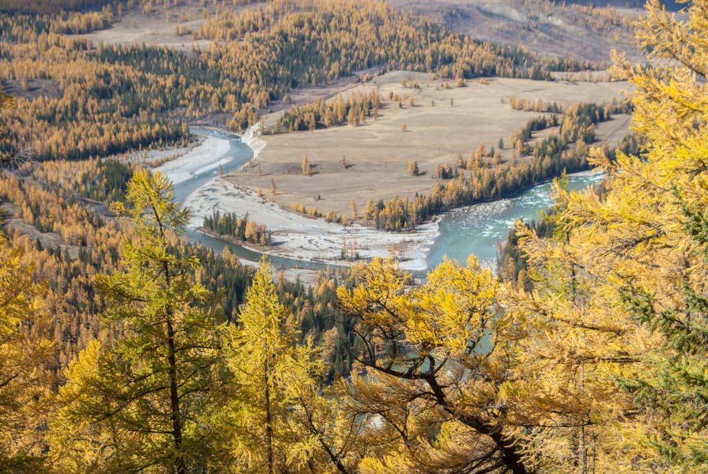 Фотография активности: «Золото Алтая. Дорога в осень»