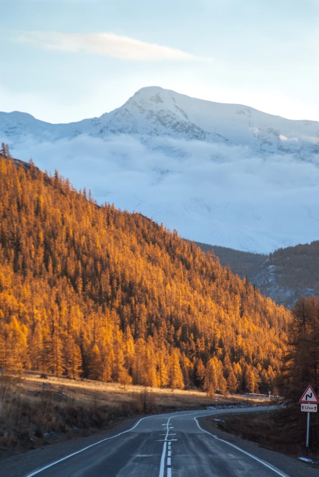 Фотография активности: «Золото Алтая. Дорога в осень»