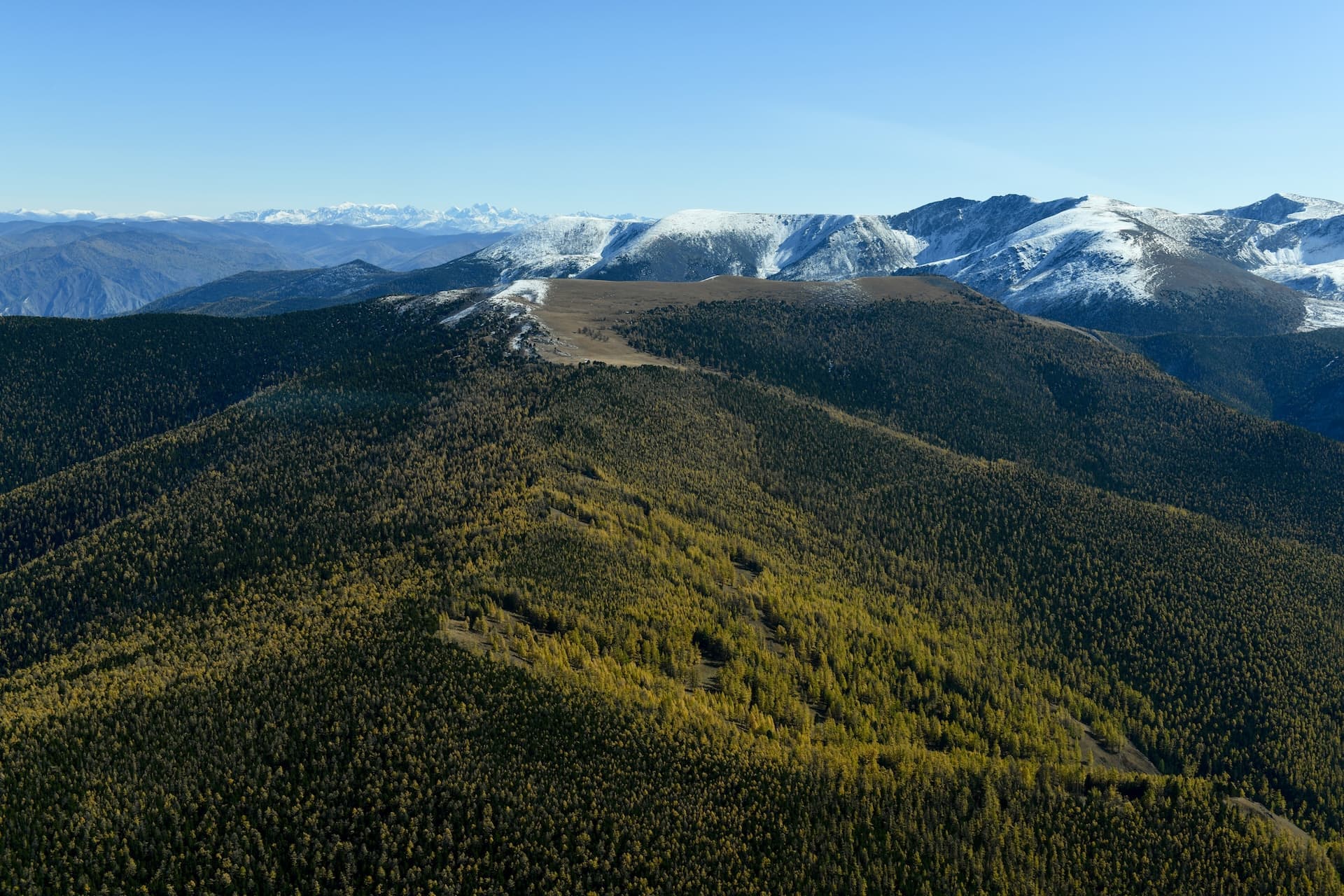 Тест Тест Тест - фото 2