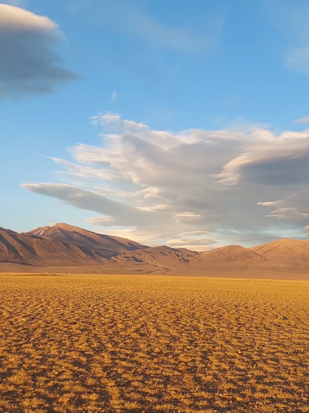Фотография активности: «Золото Алтая. Дорога в осень»