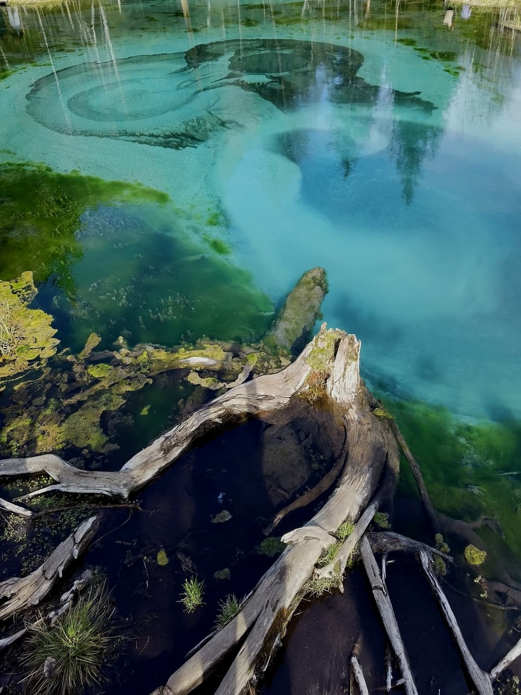 Фотография активности: Лучшее на Алтае за 7 дней