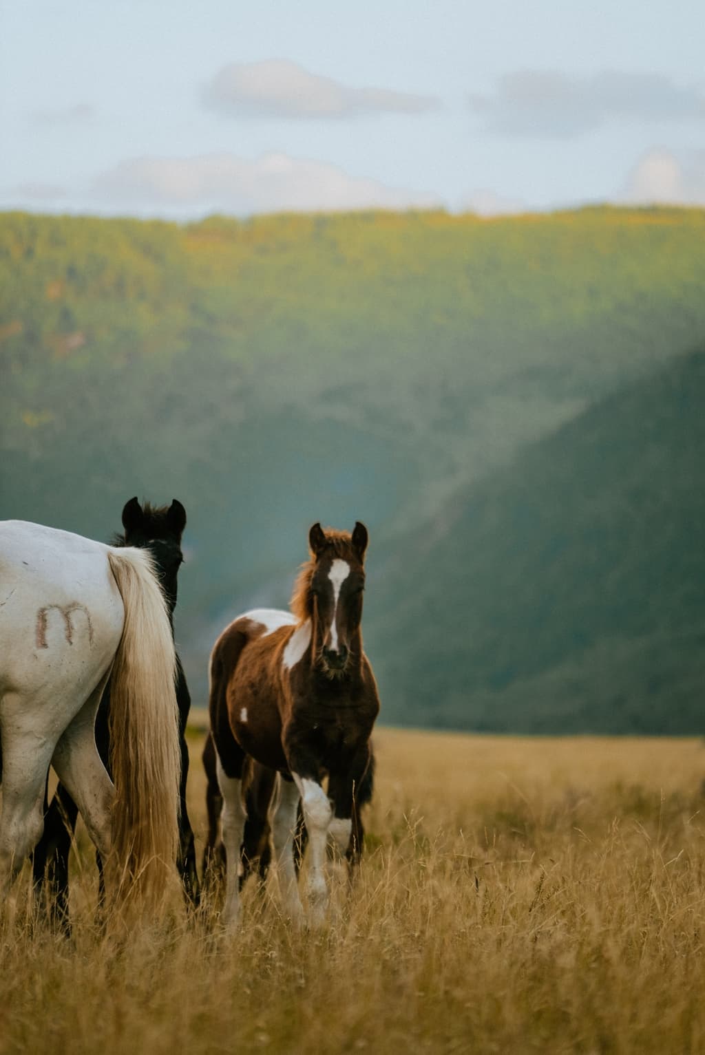 Фотография активности: Чуйский тракт до Марса