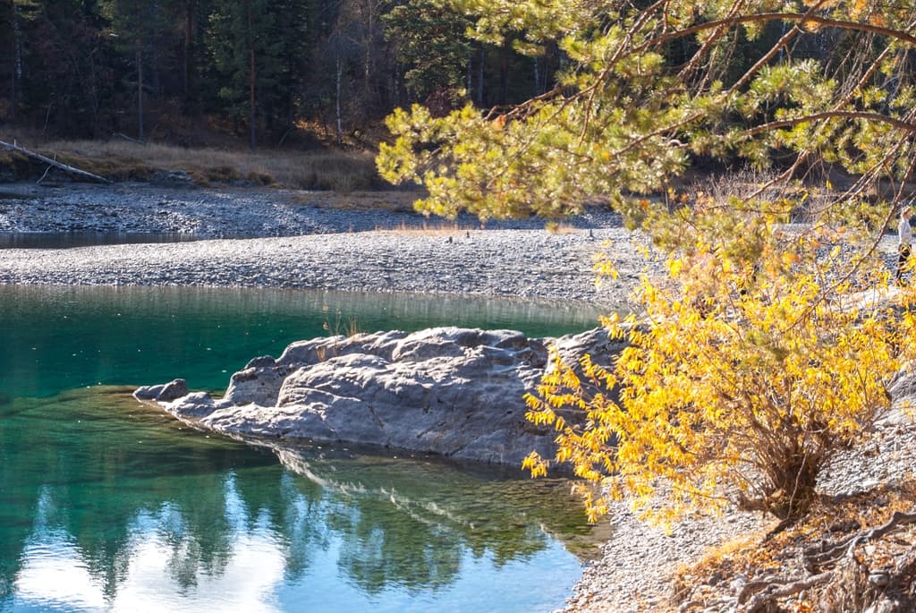 Фотография активности: «Золото Алтая. Дорога в осень»
