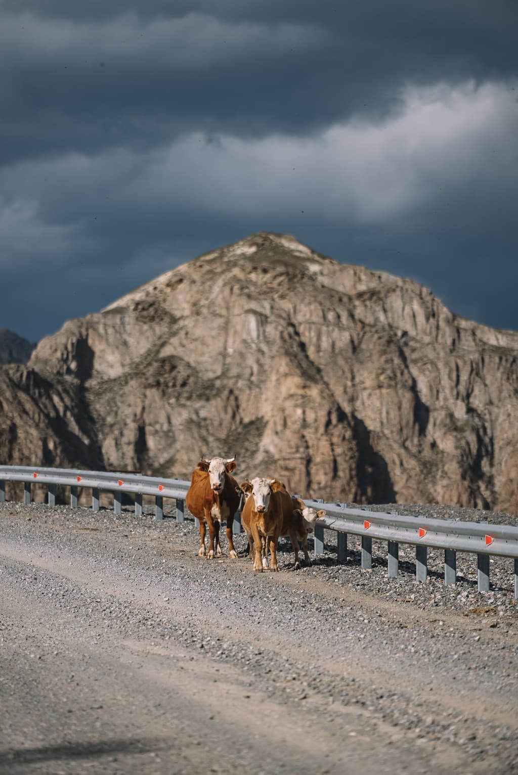Фотография активности: Чуйский тракт до Марса