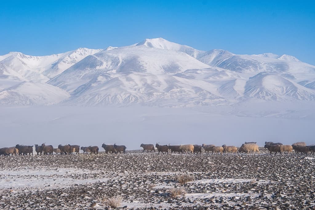 Фотография активности: «Зима на границе: 3 сказки»