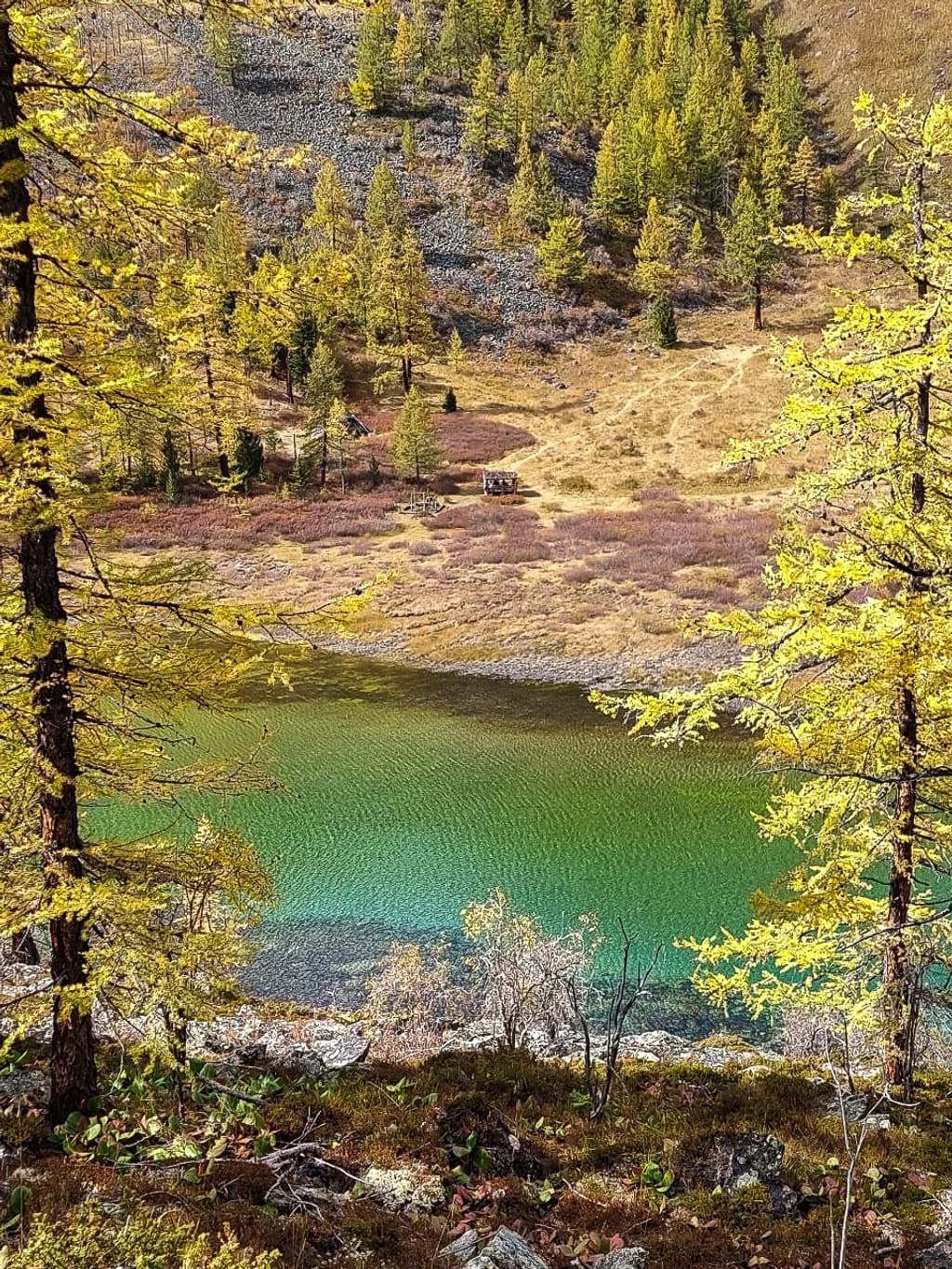 Фотография активности: «Золото Алтая. Дорога в осень»