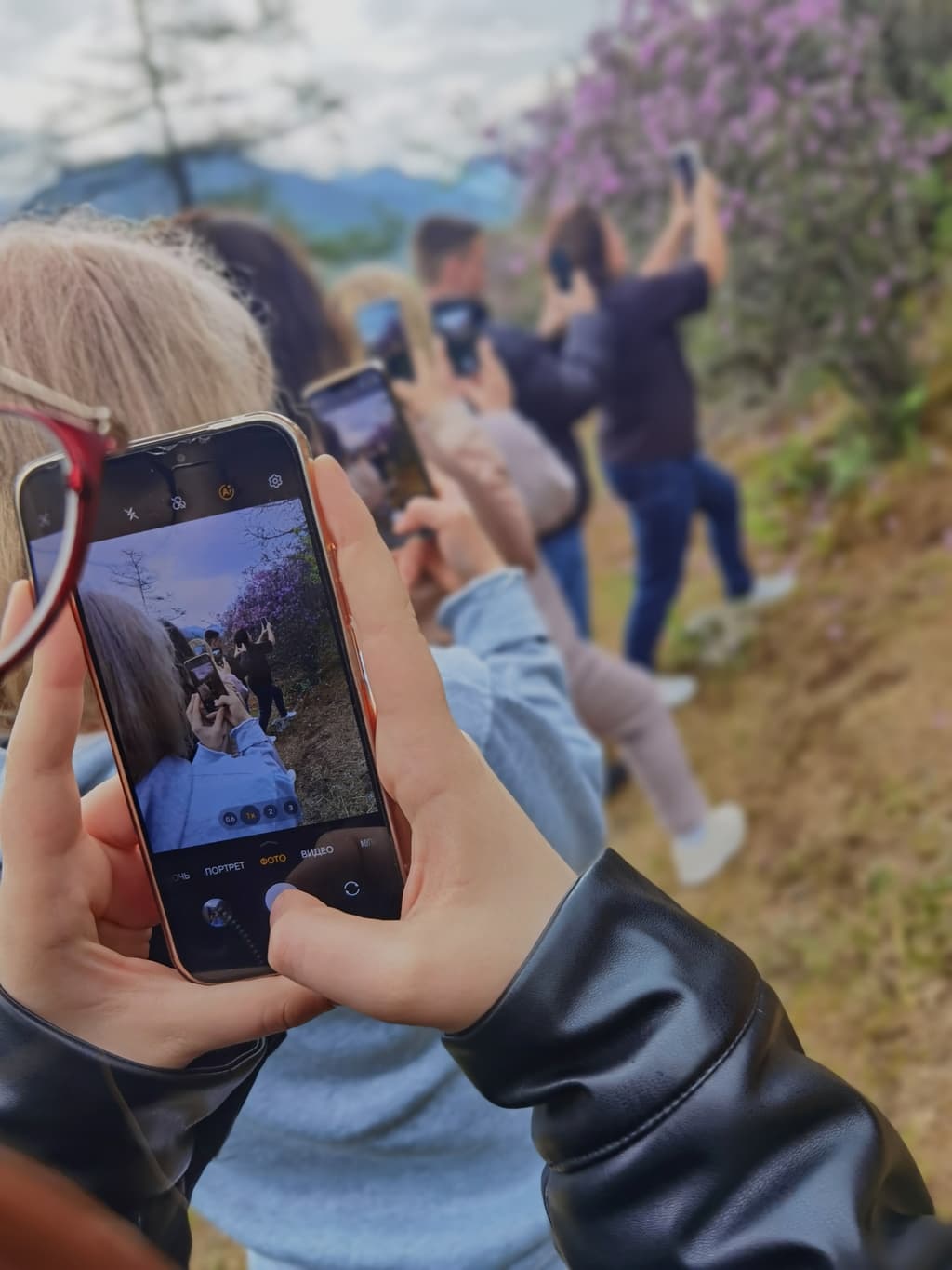 Фотография активности: Фото-тур  «Золотой Алтай»