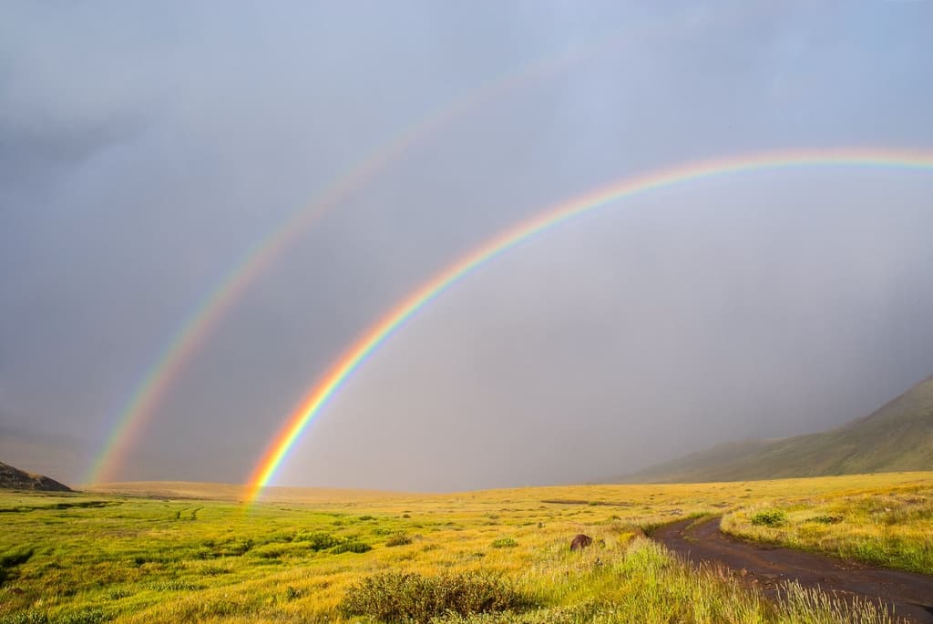 Фотография активности: «Укок - место силы»