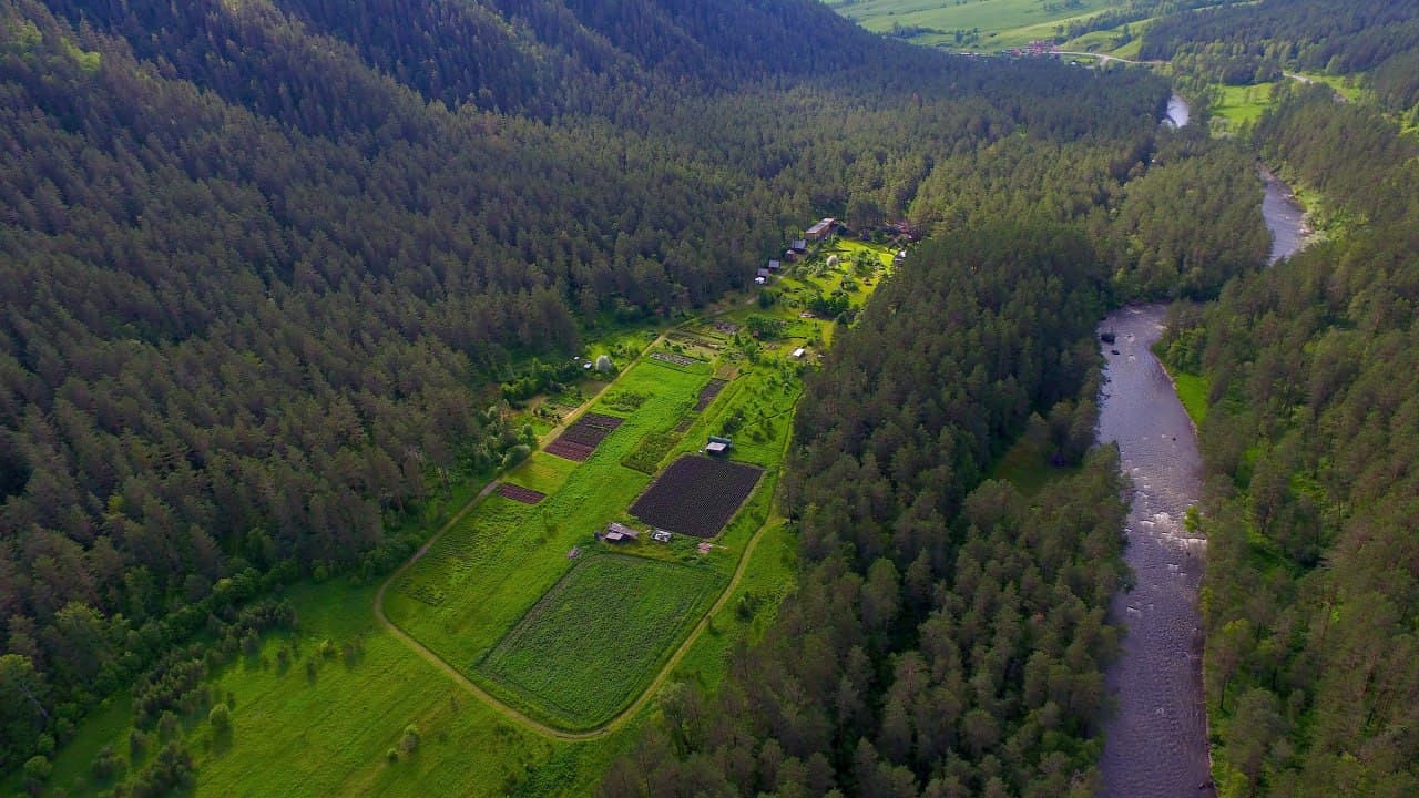 Фото с маршрута: Алтай зеленый