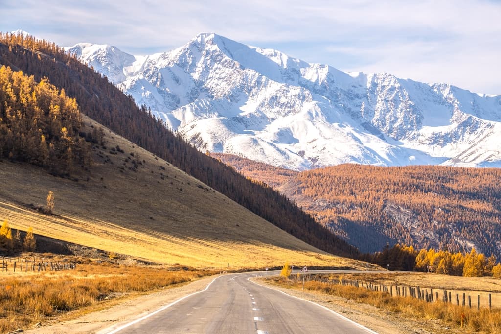 Фотография активности: «Золото Алтая. Дорога в осень»