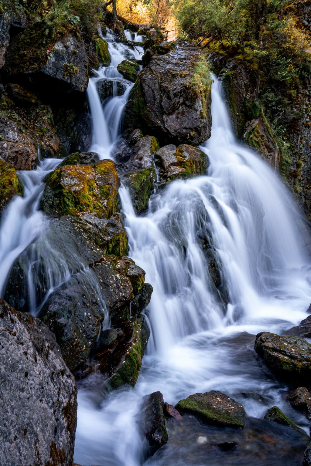 Фотография активности: Лучшее на Алтае за 7 дней