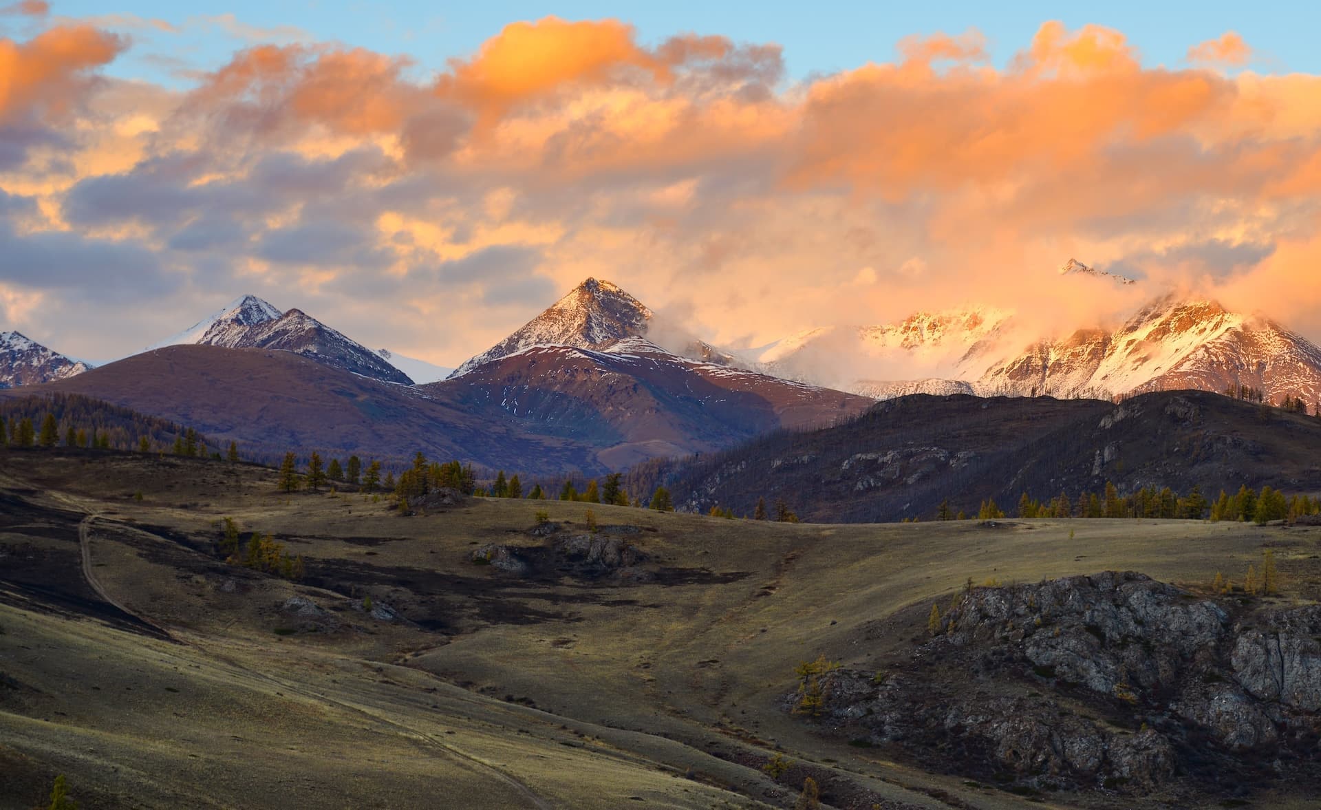 Тест тест - изображение