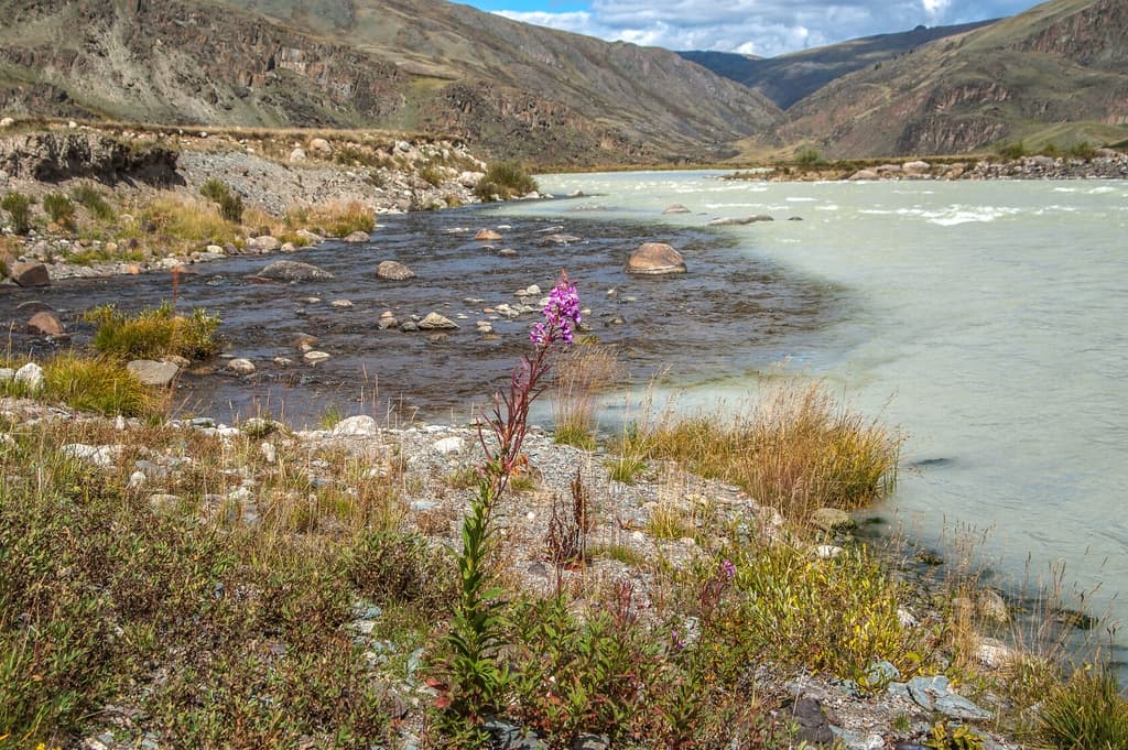 Фотография активности: «Укок - место силы»