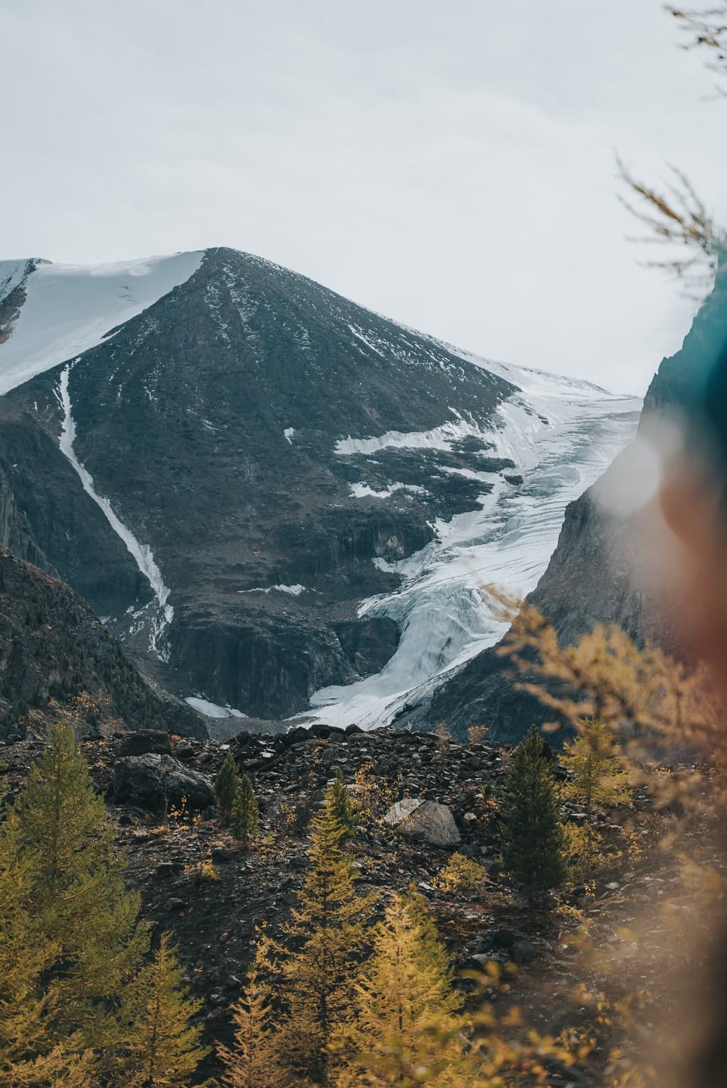 Фотография активности: Лучшее на Алтае за 7 дней