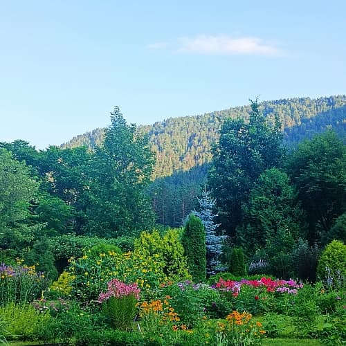 «Живая тайна Алтая» - Экскурсия с мастер-классом в Горно-Алтайском ботаническом саду. Горно-Алтайский ботанический сад расположен на территории памятника природы «Катаил — Шишкулар» или «Чистый Луг». Это огромная естественная поляна в долине реки Семы, окруженная горами и реликтовым лесом. Кроме того, здесь собраны разные уникальные растения. С ними мы и будем знакомиться, посещая тематические зоны сада-парка. Мы познакомимся не только с самими растениями, но и с тем, как они используются местным населением! В рамках расширения кругозора мы отправимся в национальное жилище алтайцеы – айыл, где познакомимся с бытом и культурными особенностями региона. Поможет нам в этом мастер-класс «Алтайский чай»! В саду есть эко-тропа, - возможность оказаться в первозданной алтайской природе. Мы предлагаем вам прогуляться по ней босиком и зарядиться энергией местной земли!