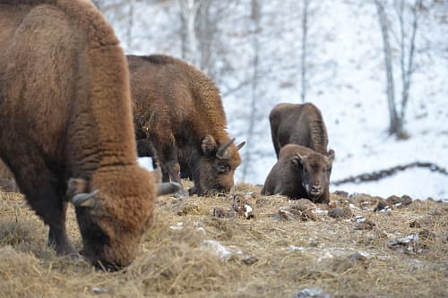 Тест Тест Тест