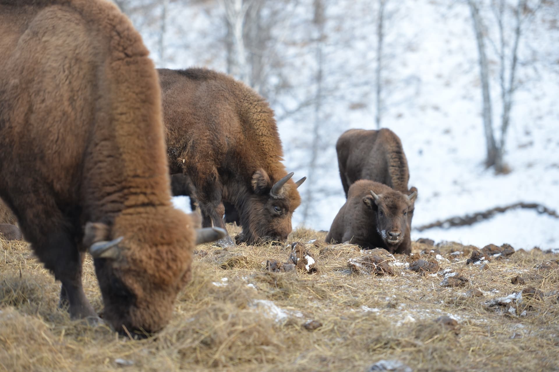 Фото с маршрута: Тест Маршрут