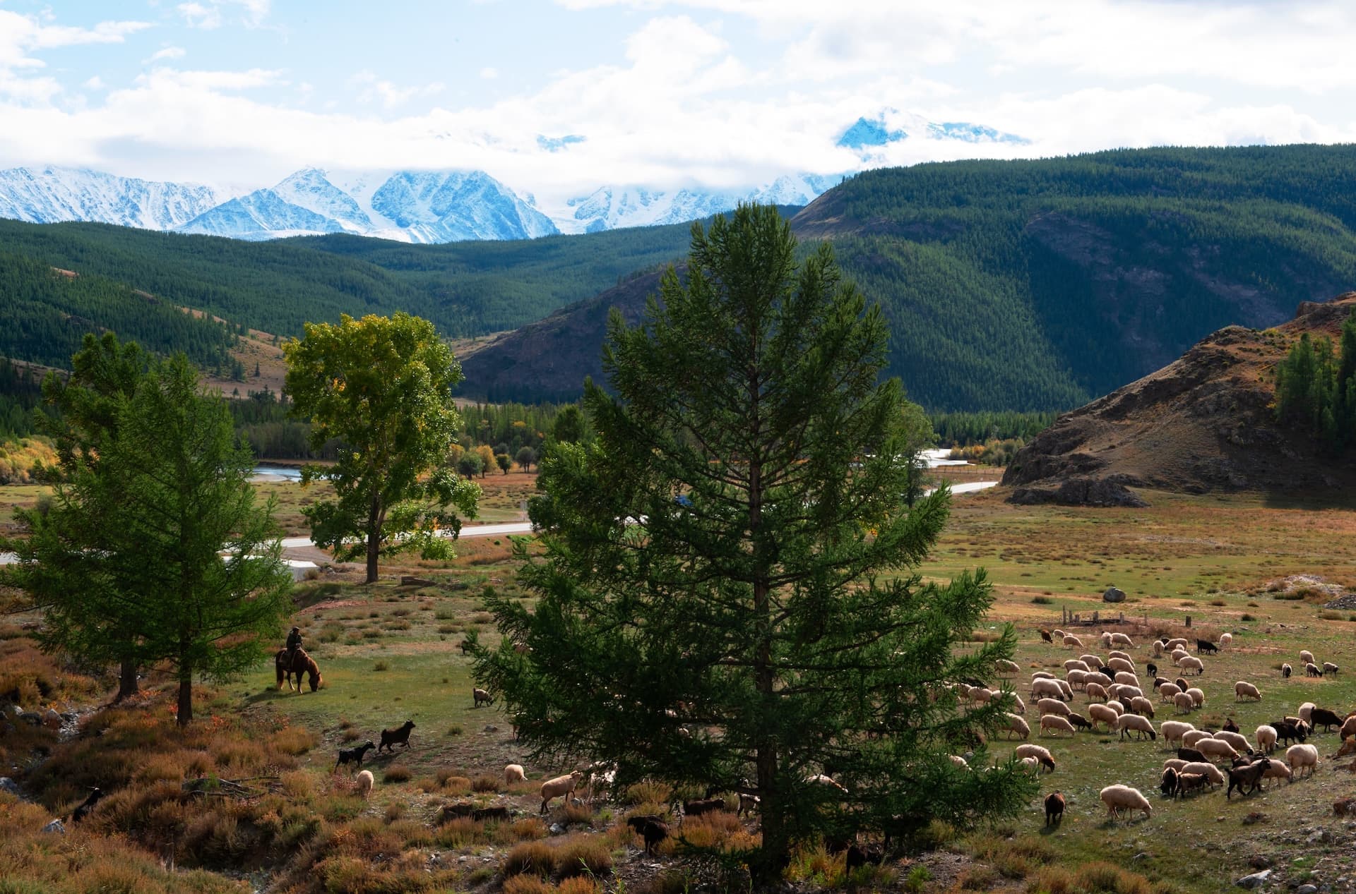 Фото с маршрута: Тест 2