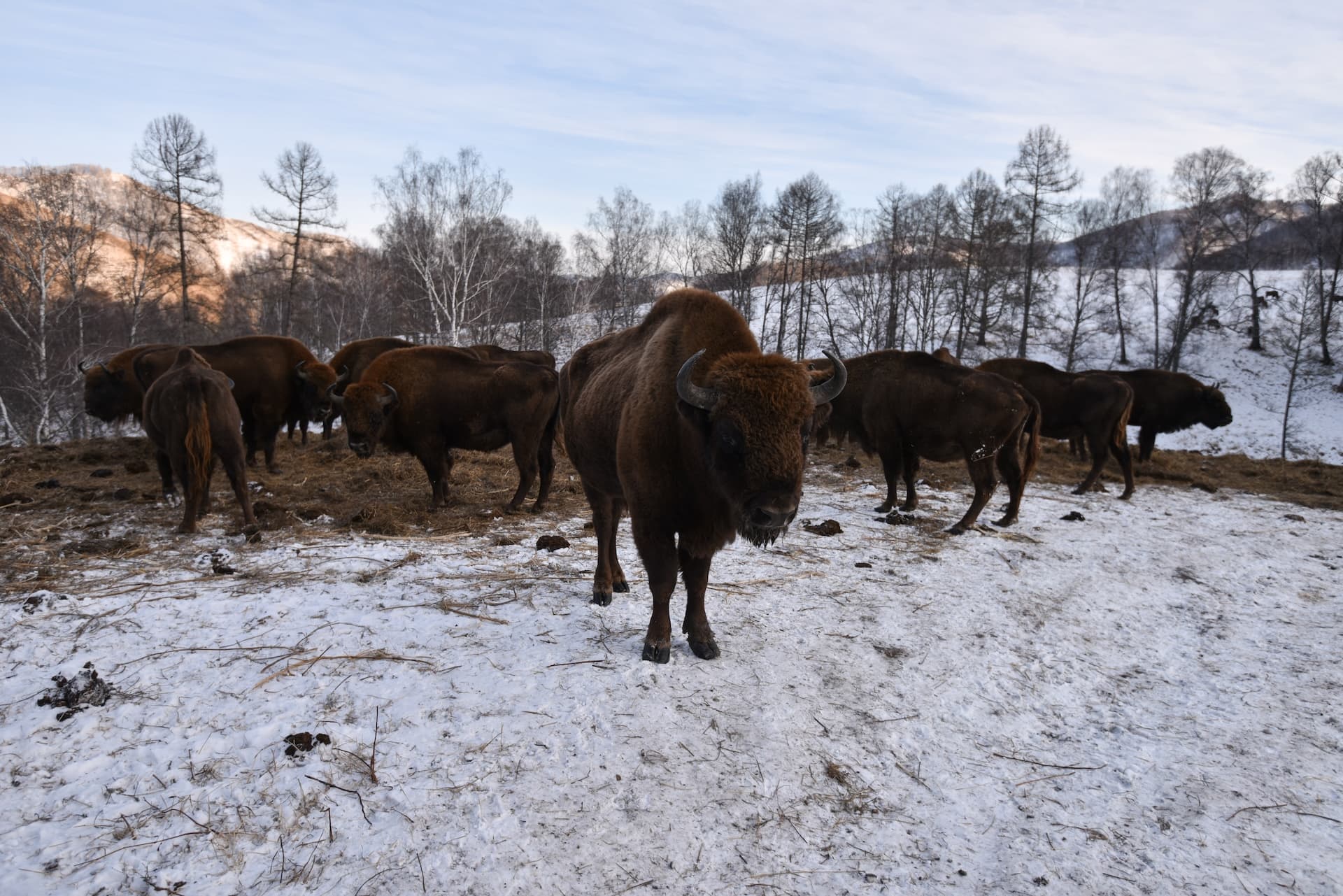 Фото с маршрута: Тест Маршрут